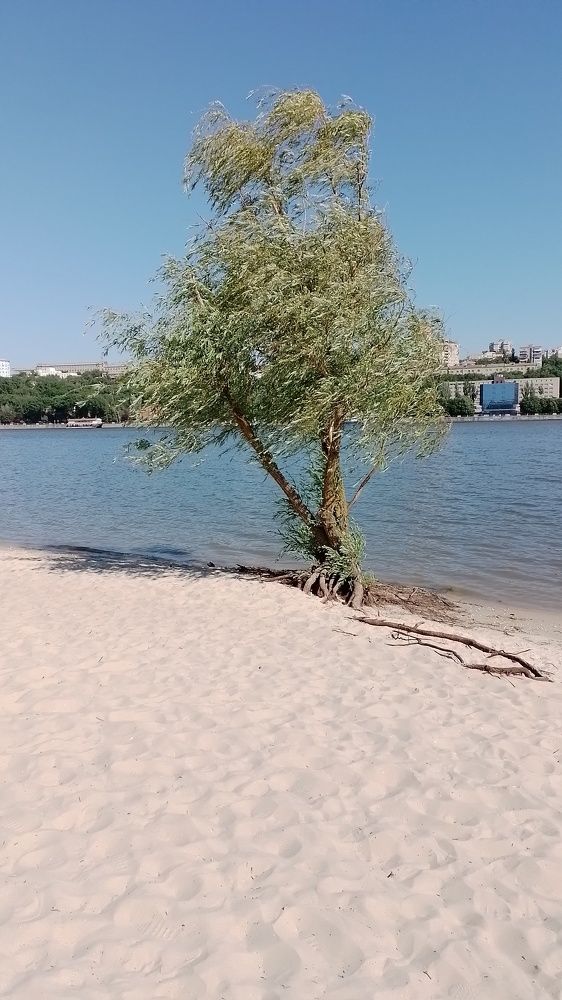 Песок, вода и ветер