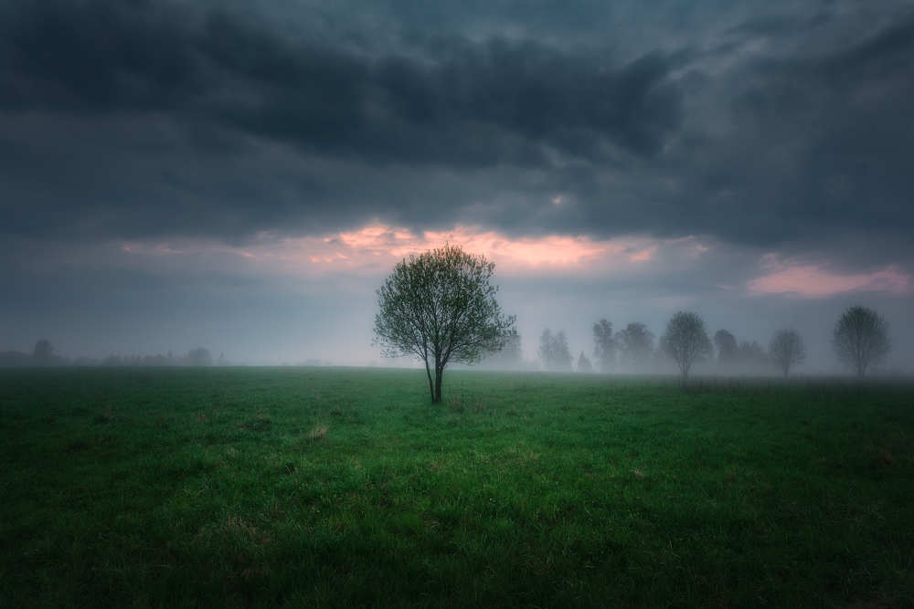 Photograph by Андрей Баскевич