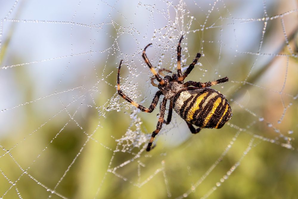 Photograph by Rasita Li