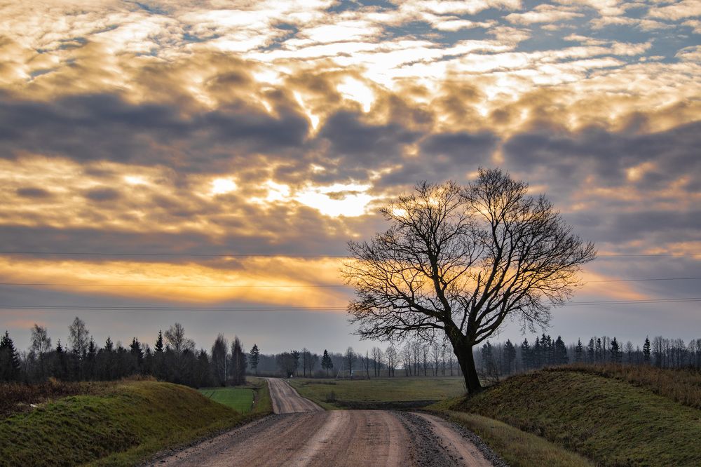 Photograph by Rasita Li