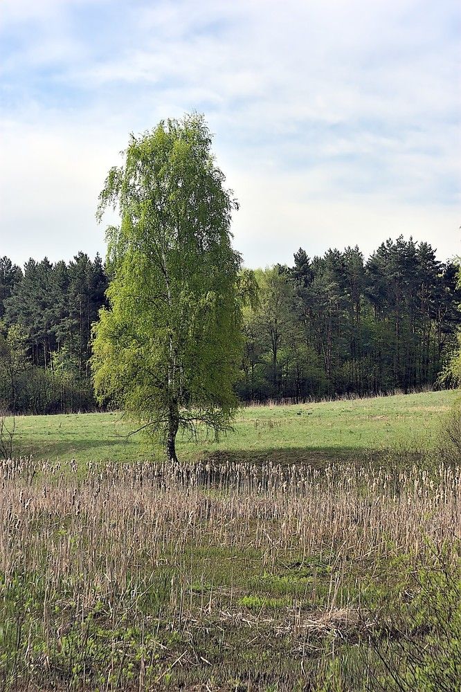 Photograph by Евгений Беленков