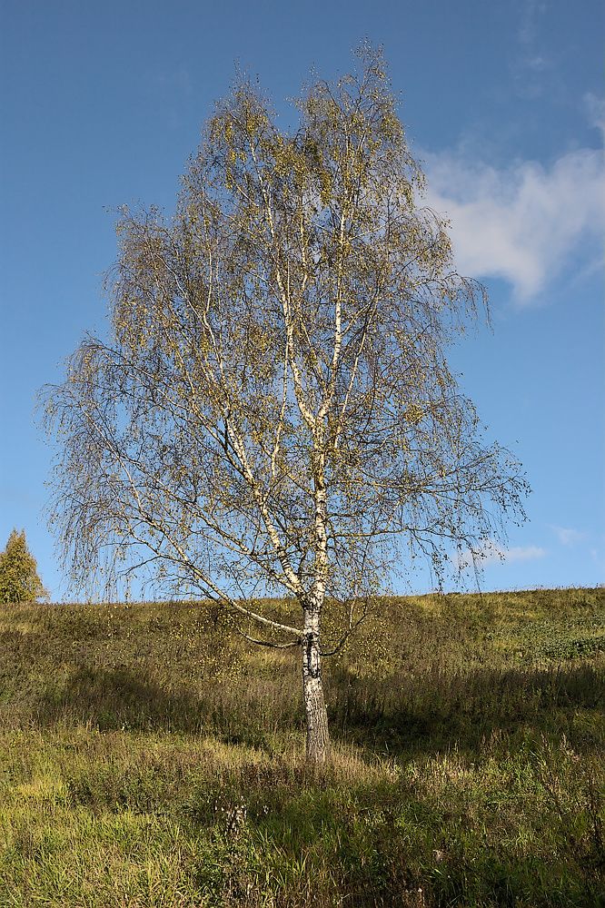 Photograph by Евгений Беленков