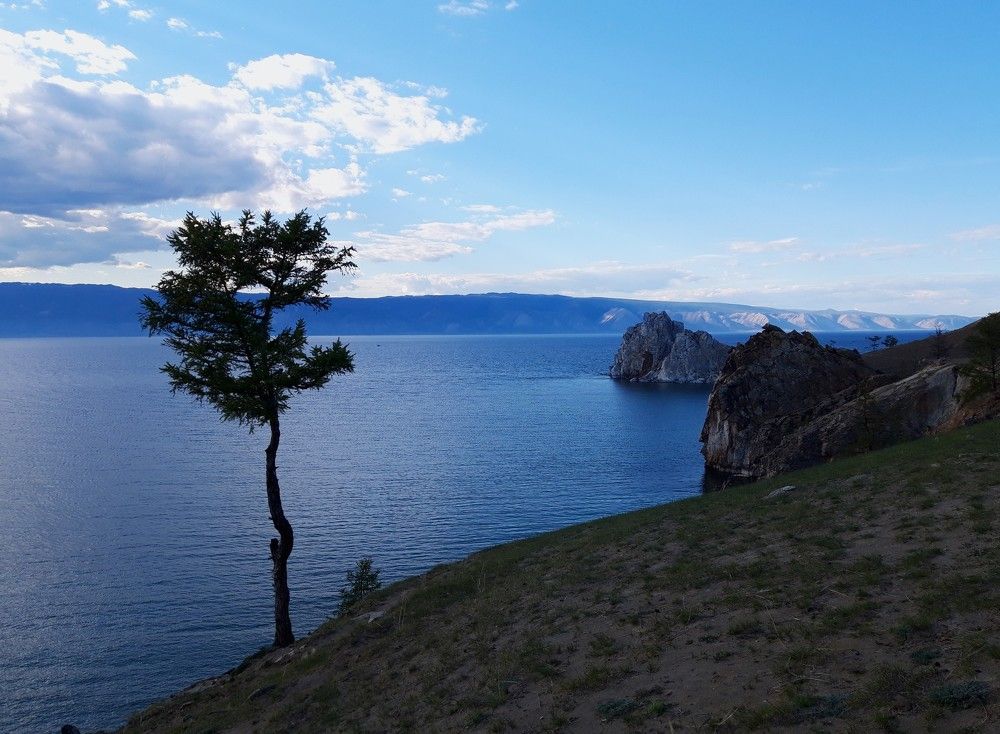 Фотография автора Елена Пикатова