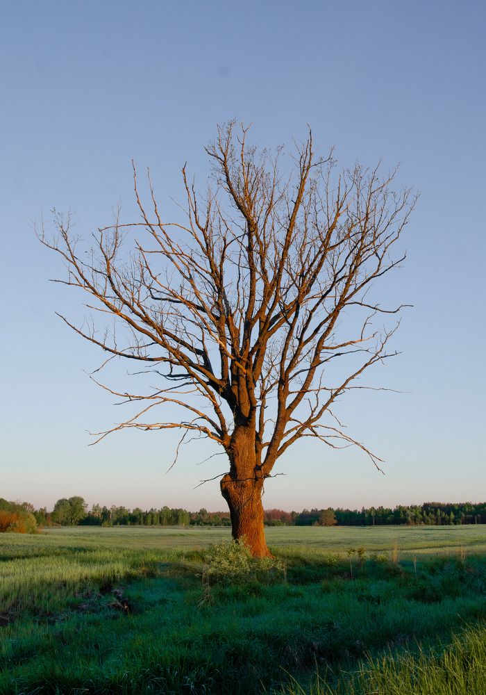 Photograph by ALEKSEI BABANIN