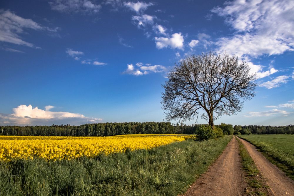 Photograph by Rasita Li