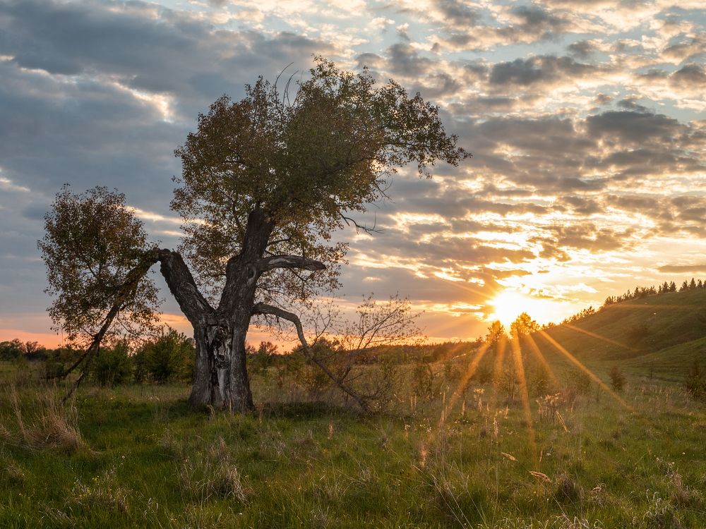 Photograph by Сергей Степанов