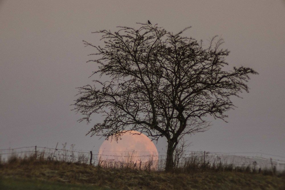 Photograph by Rasita Li