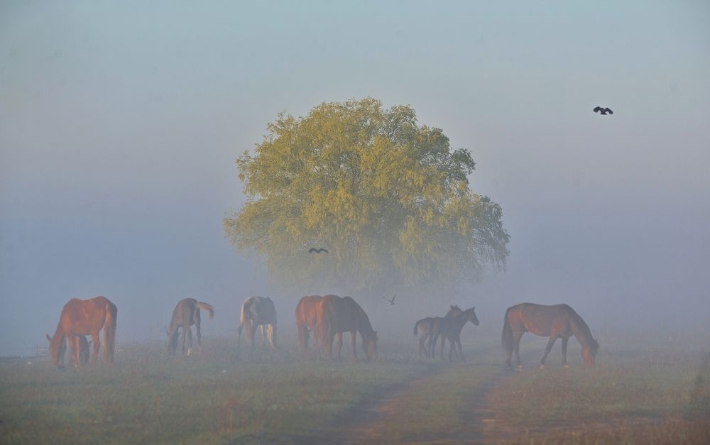 Photograph by Сергей Басов