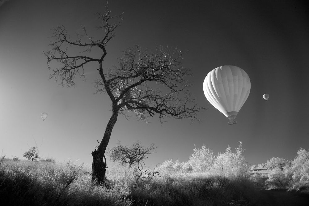 Фотография автора Грачёв Олег