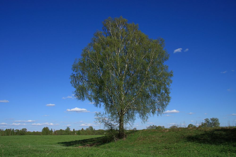 Photograph by Сергей Слукин