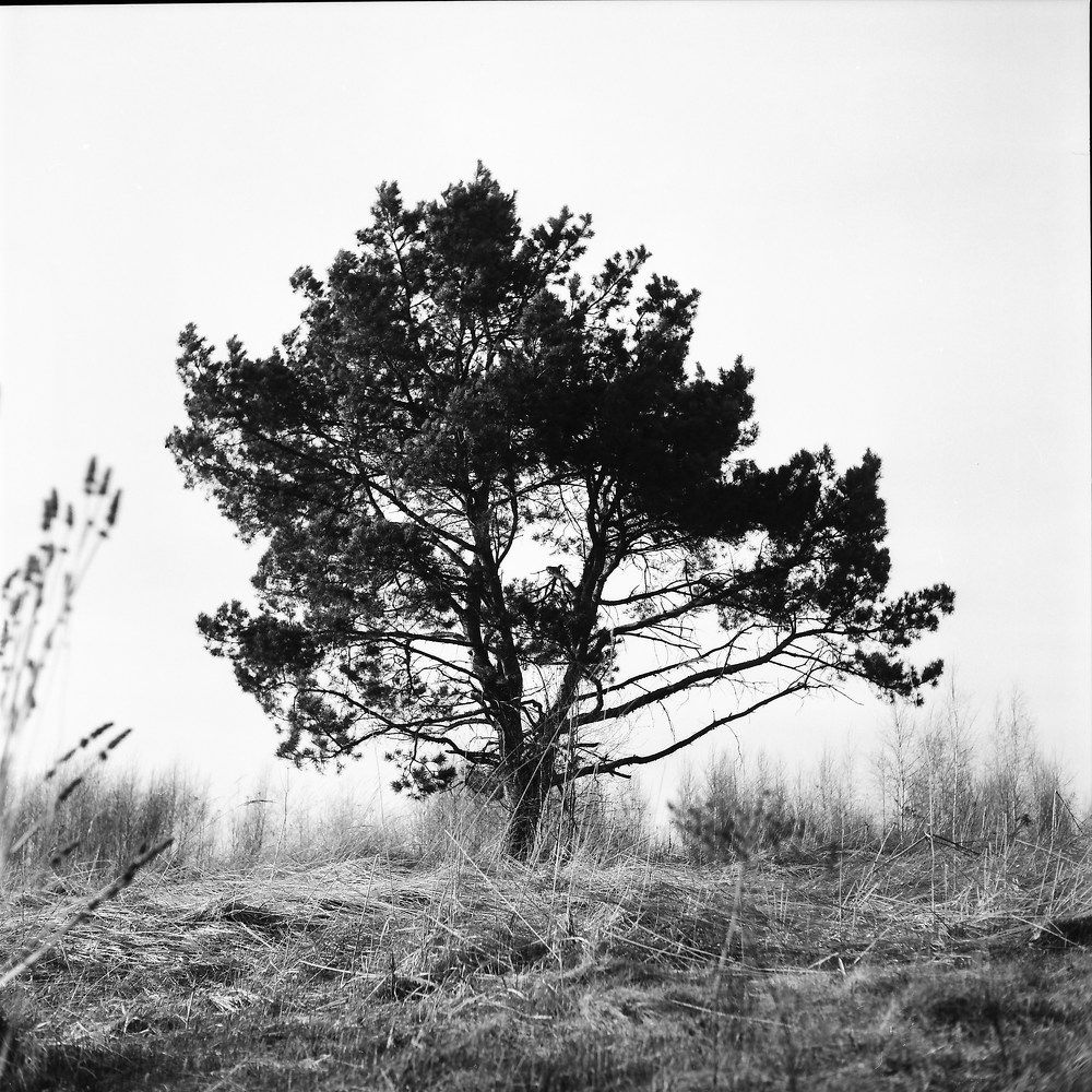 Photograph by Наталия Голованова