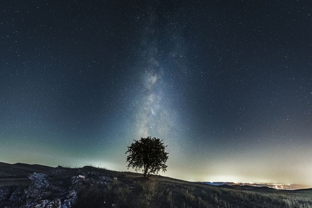 Photograph by Noureddine Belfethi