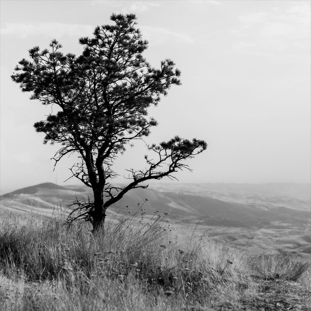 Photograph by Наталия Голованова