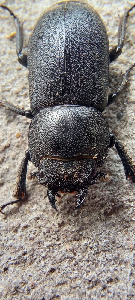 Фотография автора Марина Новикова