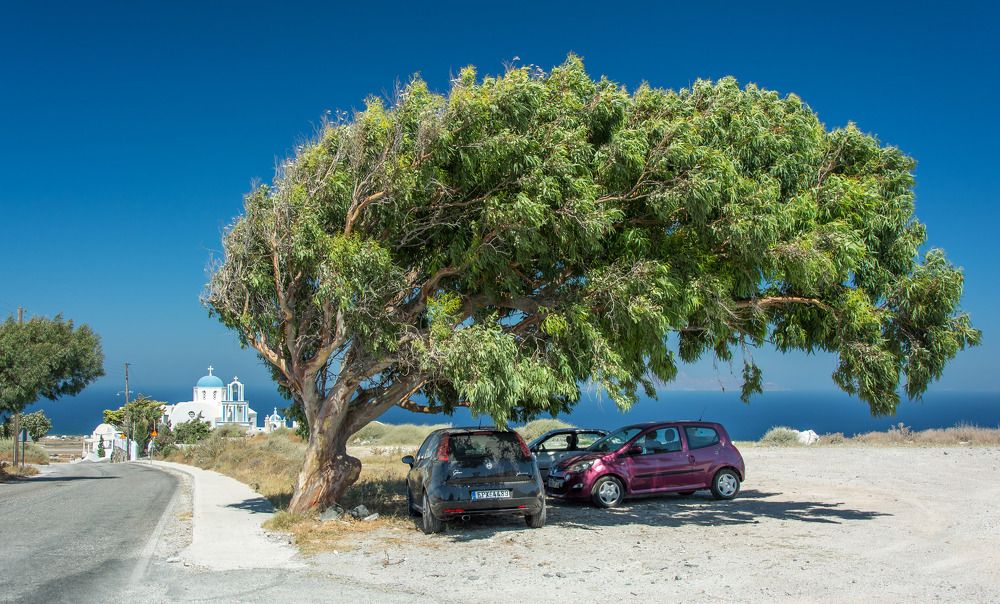 Photograph by Александр Халимов