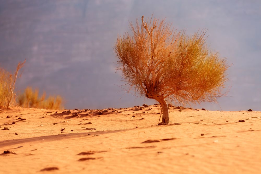 Photograph by Nataliya Nazarova