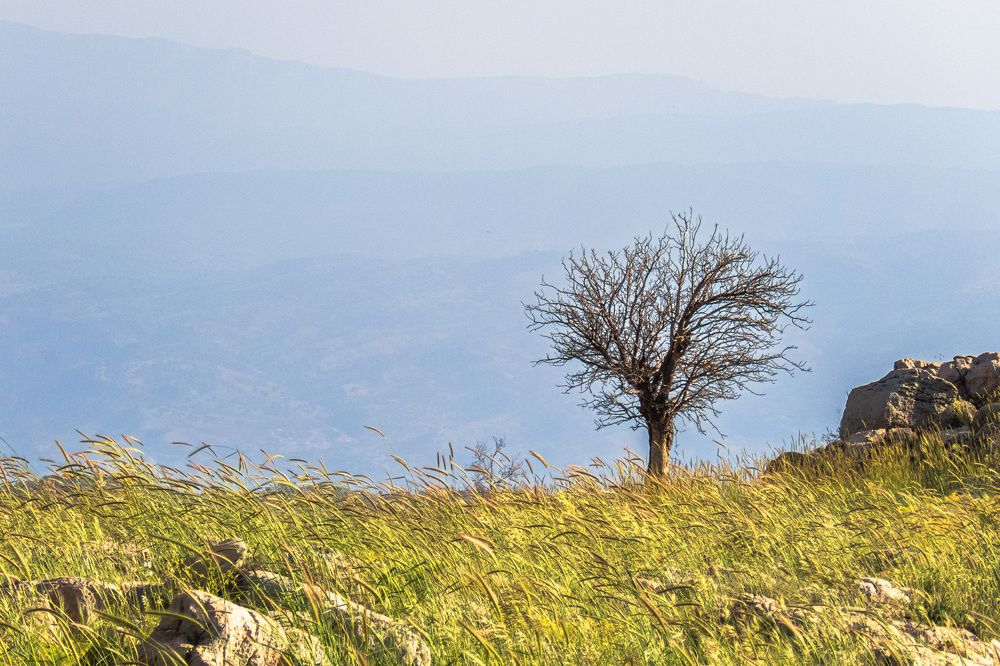 Photograph by sadegh alavi