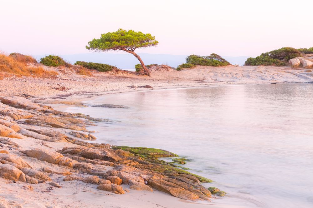 Photograph by Nataliya Nazarova