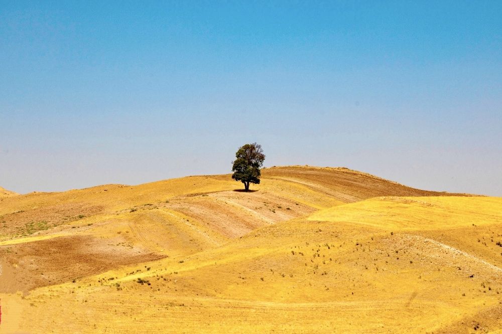 Photograph by Noura Aghdasi