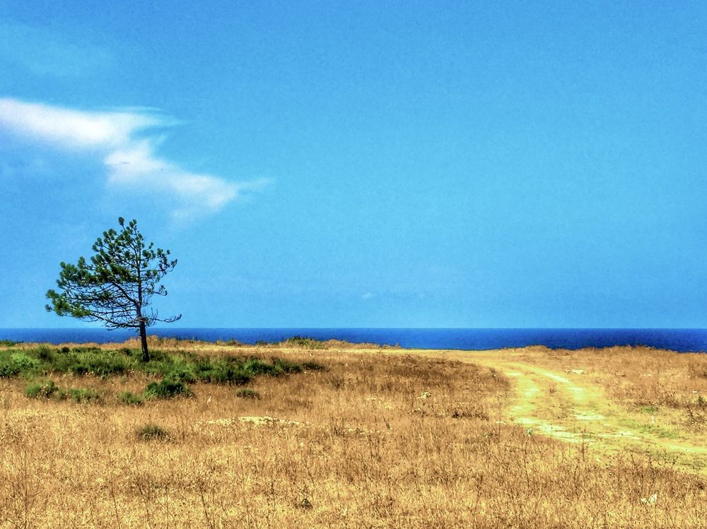 Photograph by Noura Aghdasi