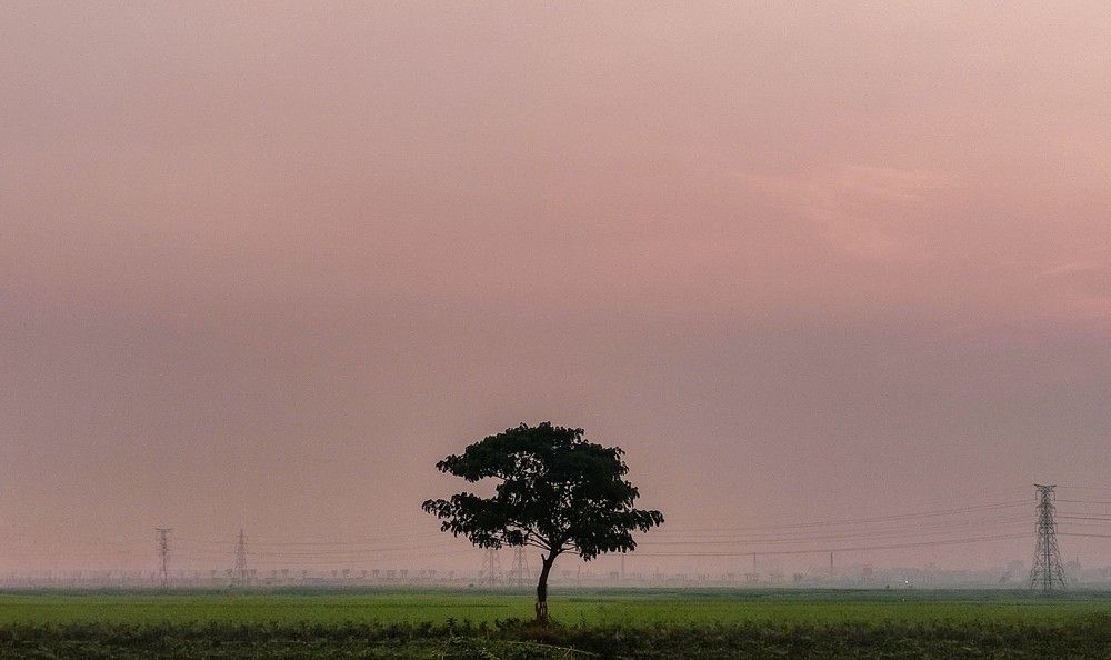 Photograph by Md. Md.Irtiza