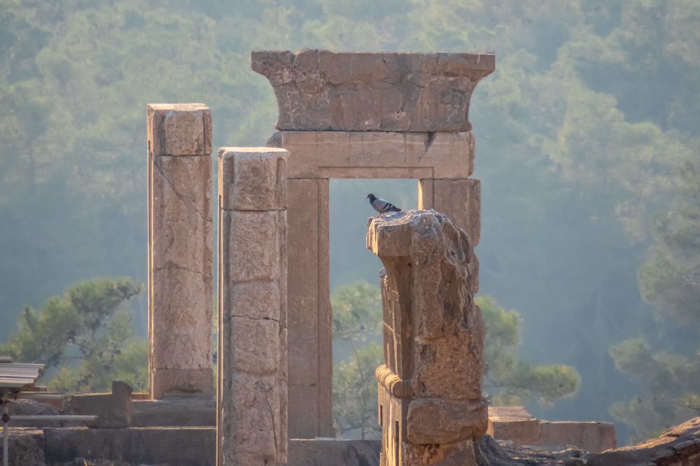 Photograph by sadegh alavi