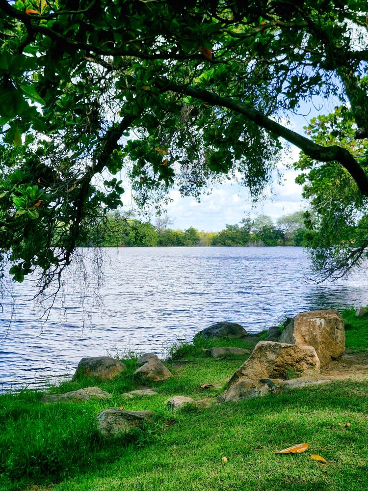 Photograph by Antonio Alves de Oliveira Neto