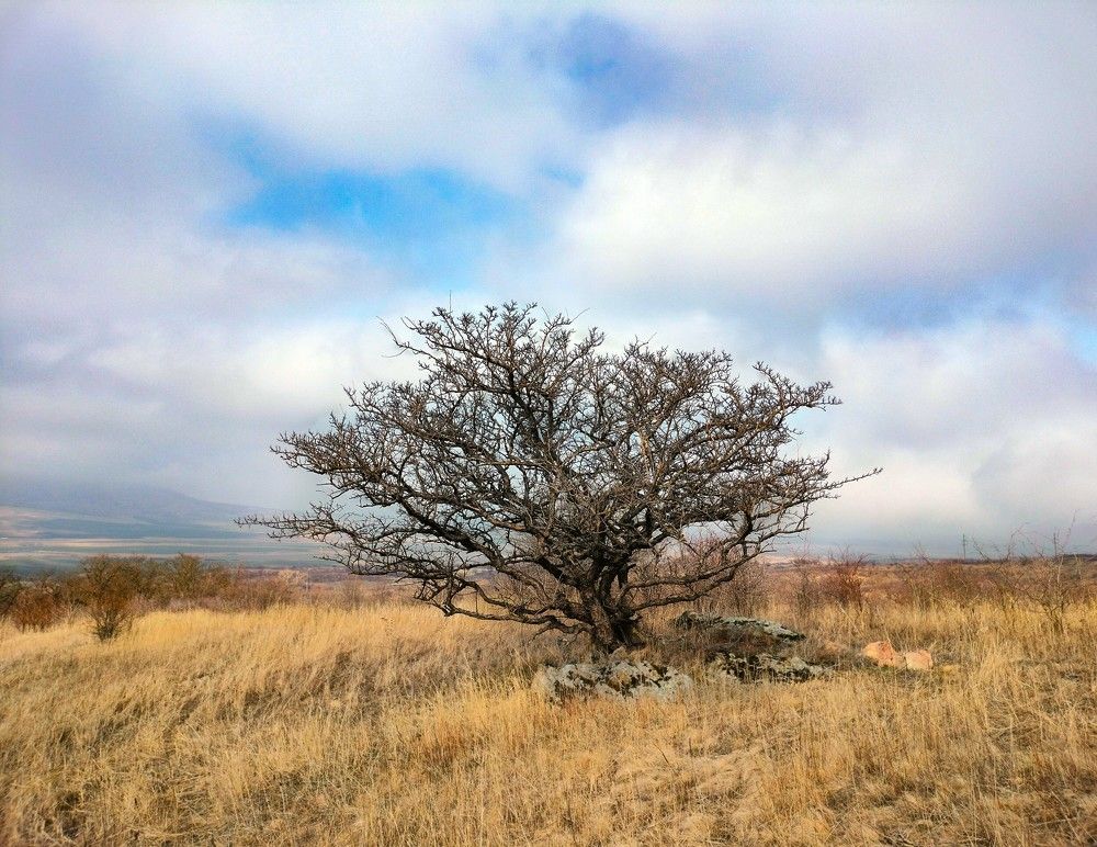 Photograph by Вадим Карпов