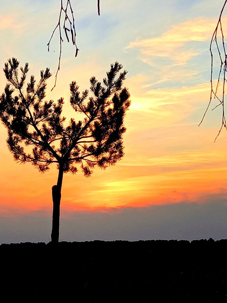 Photograph by Ольга Юрченко