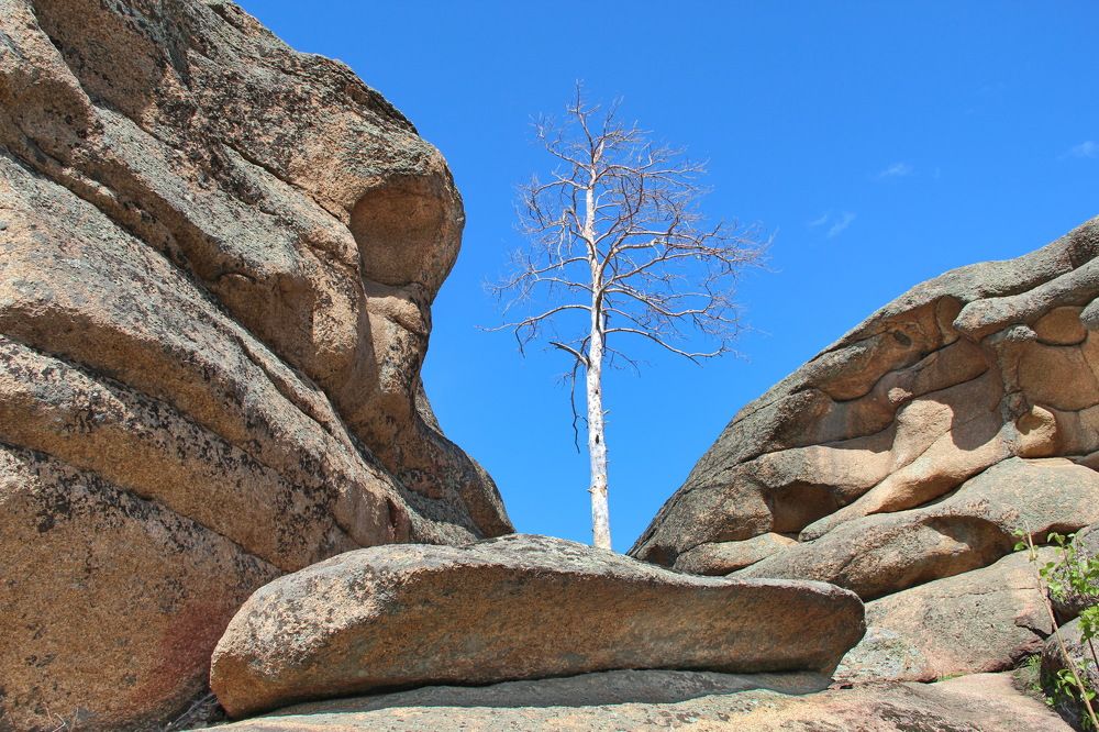 Photograph by Андрей Стародубцев