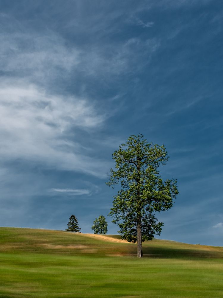 Photograph by Сергей Шатохин