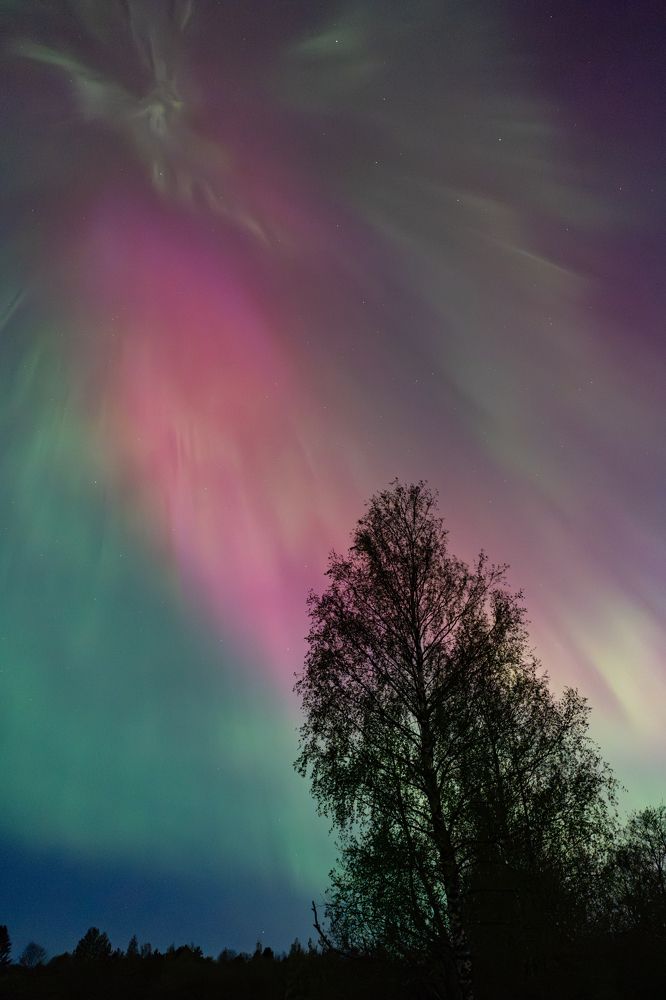 Photograph by Илькин Салимов