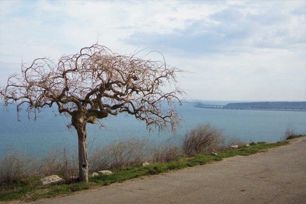 Photograph by Юлия Воскобойникова