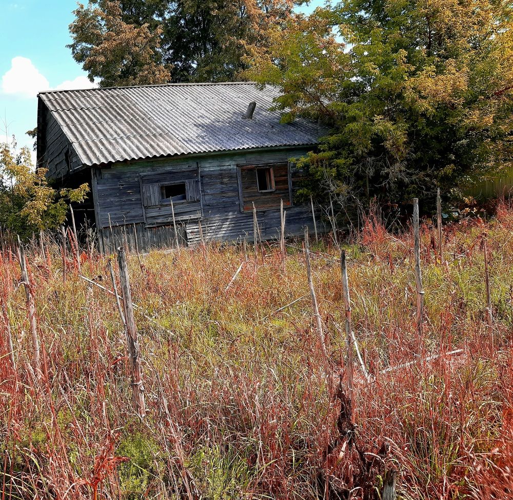 Photograph by Екатерина