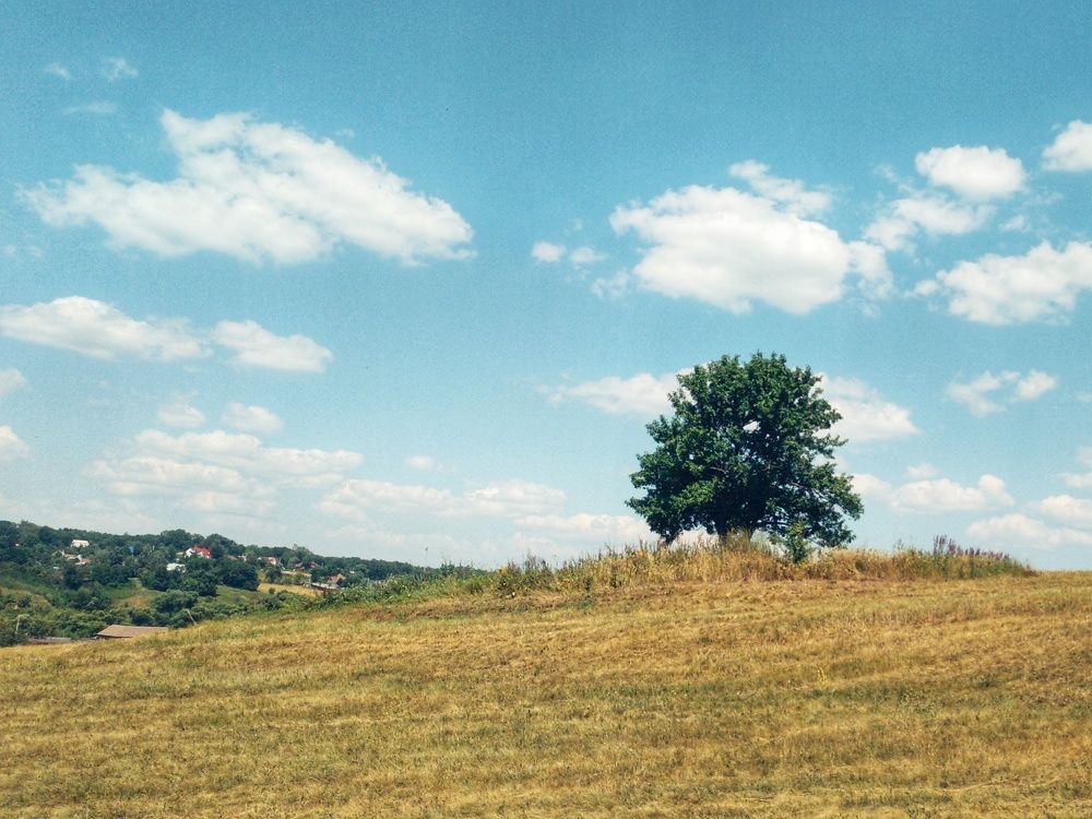 Photograph by Асад Ибадов