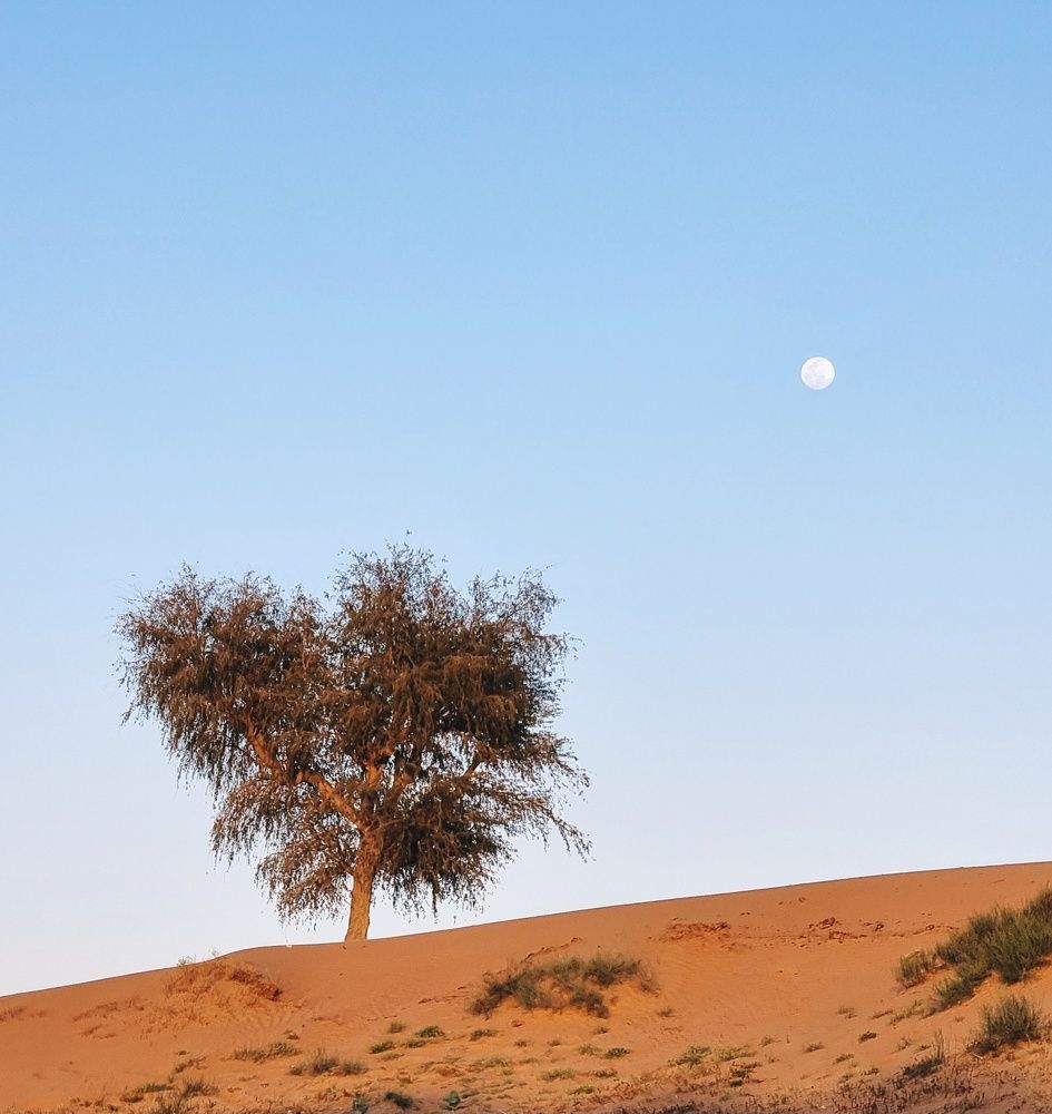 Photograph by Асад Ибадов