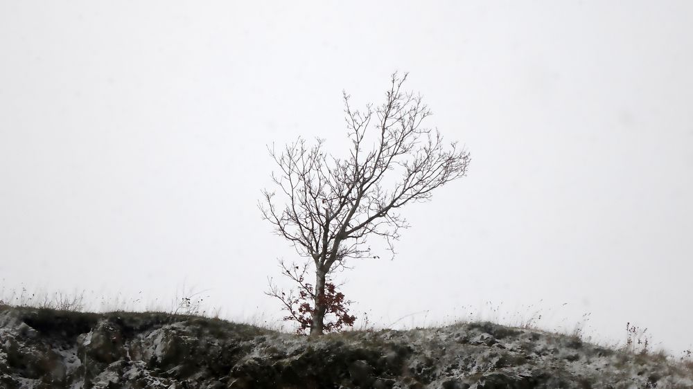 Photograph by Павел Кузьмин