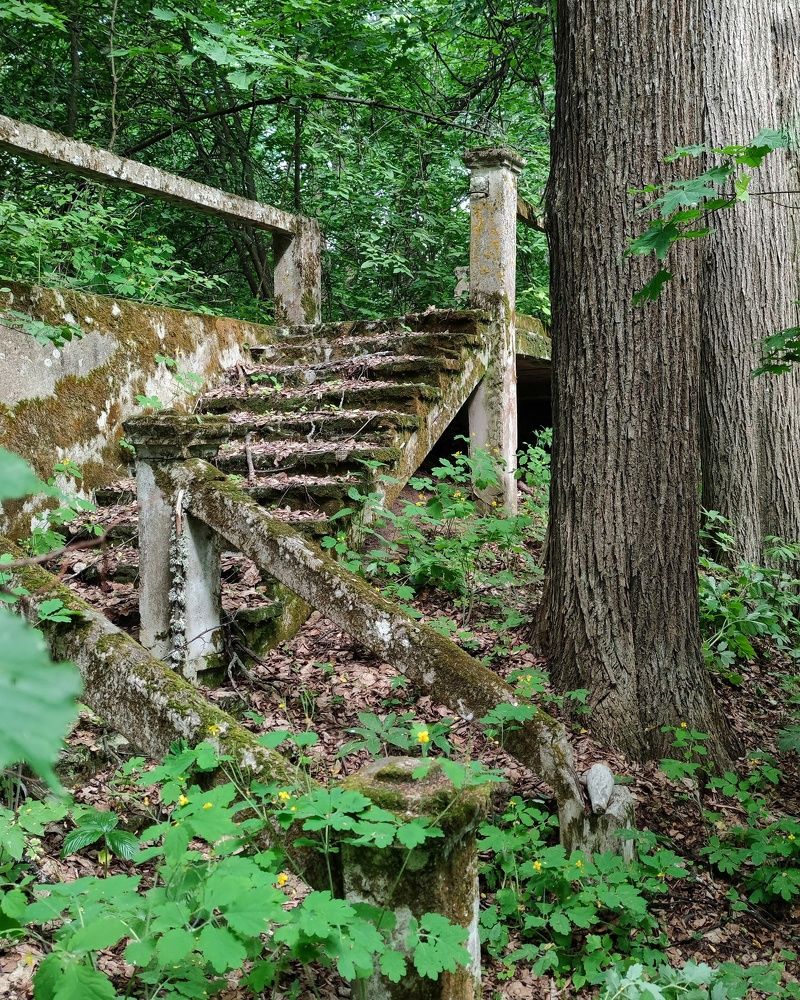 Photograph by Петр Поспелов