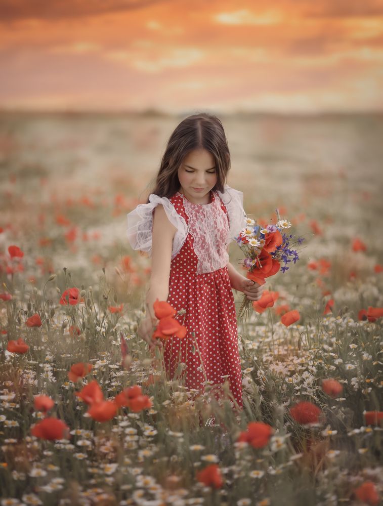 Фотография автора Beáta Tóthné Boldis