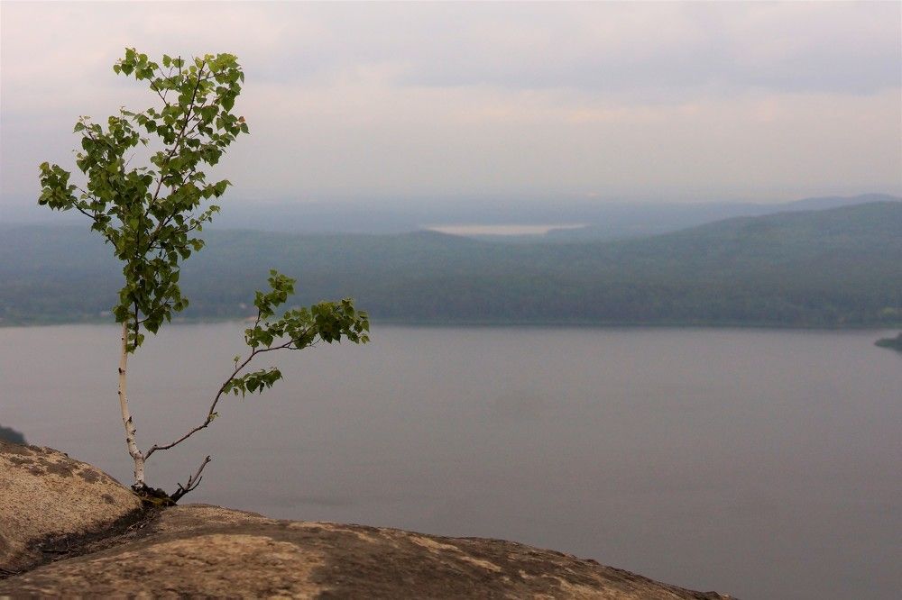 Photograph by Юлия Воскобойникова