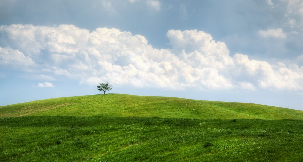 Photograph by Антон Садомов