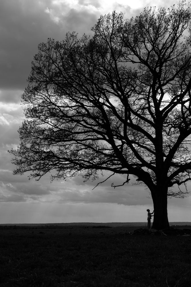 Photograph by Никита