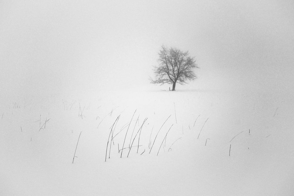 Фотография автора senjor