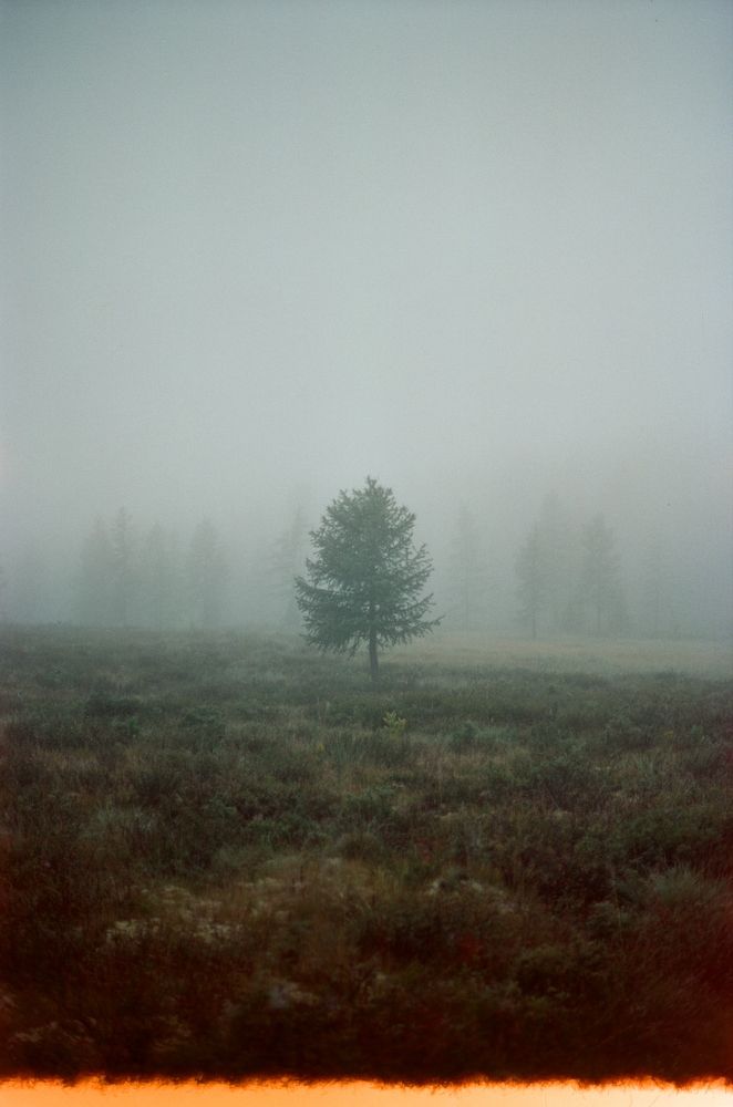 Photograph by Никита