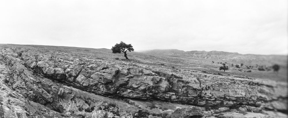 Photograph by Никита