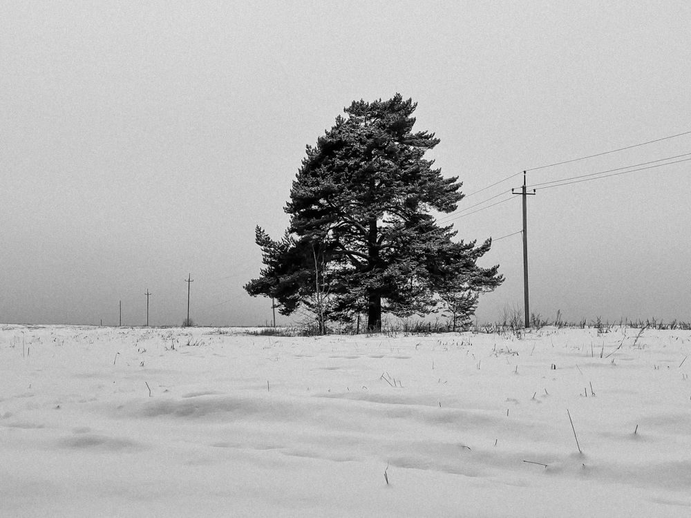 Photograph by Денис Гурский