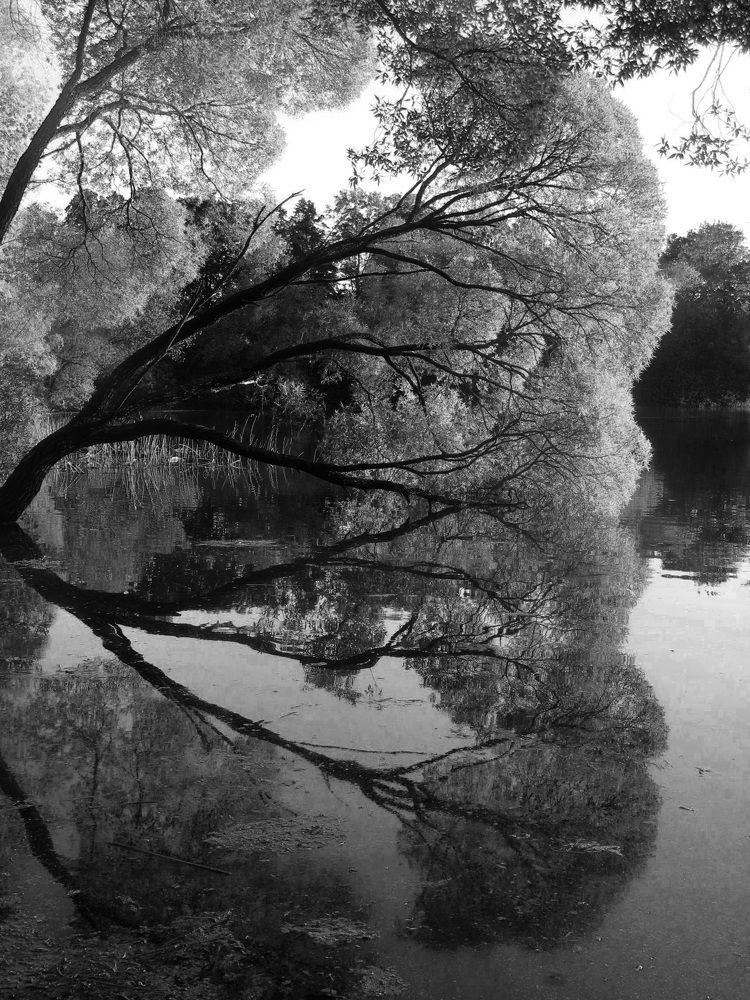 Photograph by Анастасия Пухова