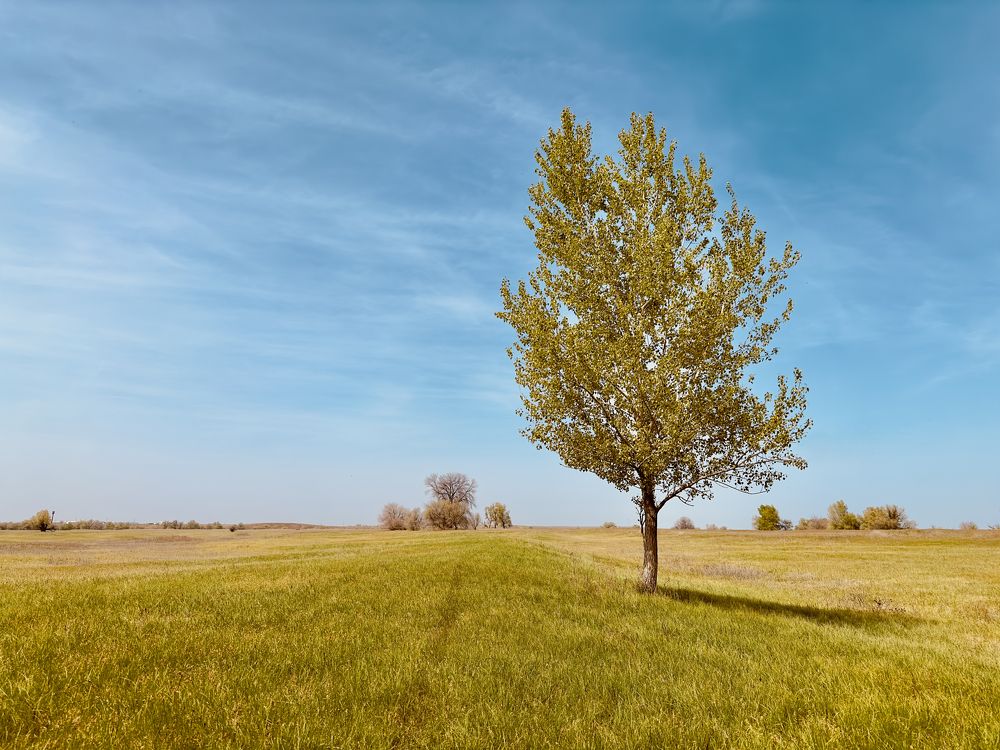 Спокойствие