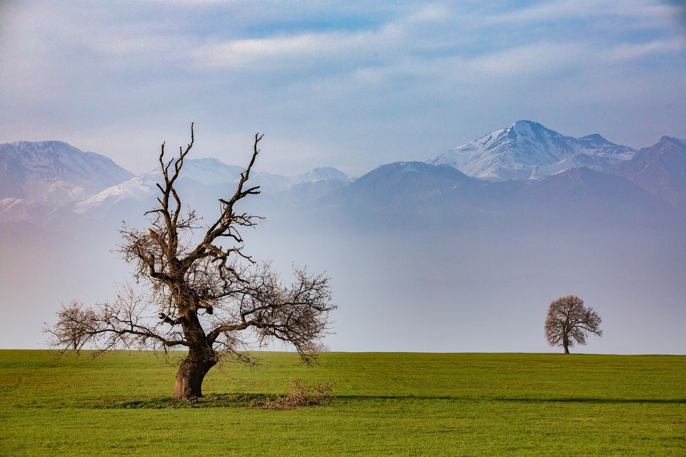 Photograph by Aleksandr Karyagin
