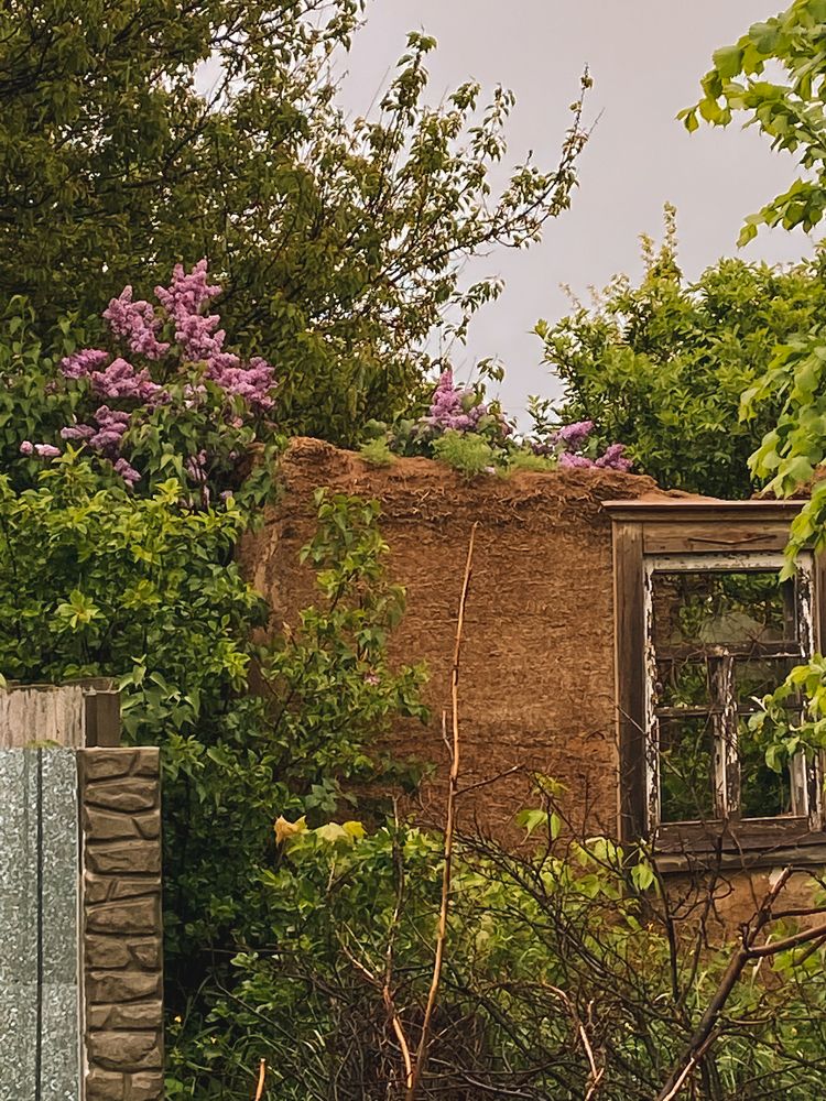 Photograph by Олена Уманцева